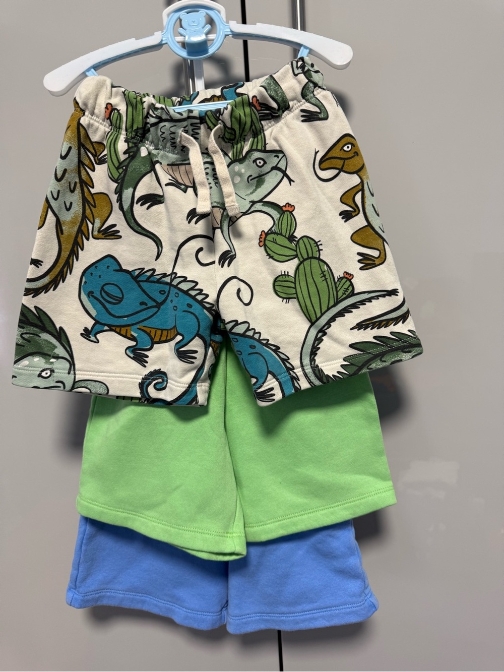 3T  3 pairs Boys Shorts - Lizard, Green, Blue